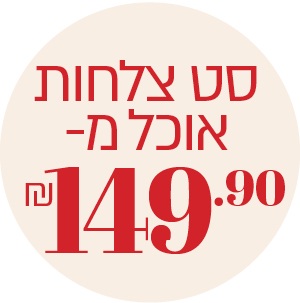 סט צלחות מ- 149.90 ₪