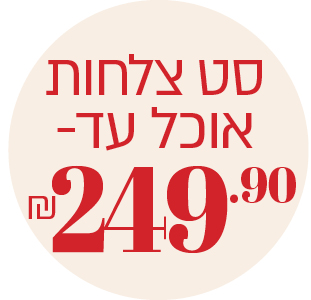 סט צלחות אוכל עד 249.9 ₪