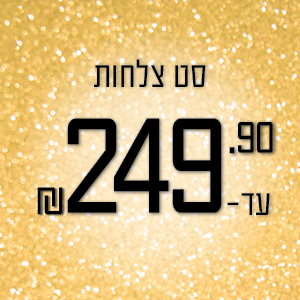 סט צלחות אוכל - עד 249.90 ₪