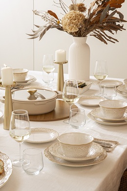 הגשה ואירוח