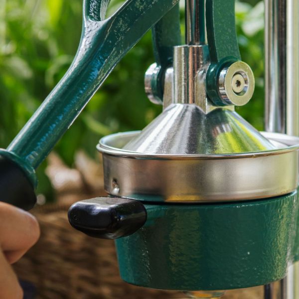 מסחטת מיץ מקצועית thumbnail