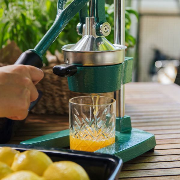 מסחטת מיץ מקצועית thumbnail