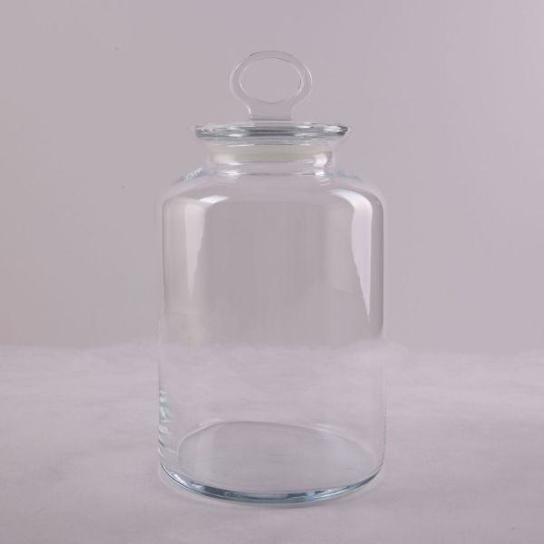 צנצנת זכוכית thumbnail