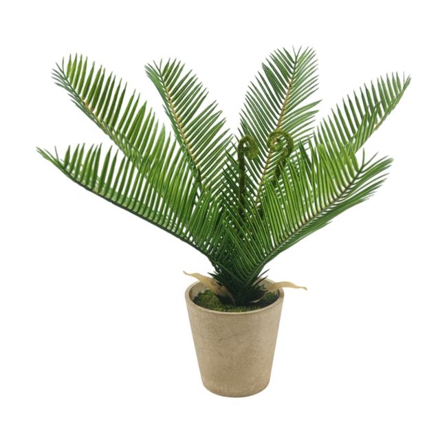 עציץ דקורטיבי ירוק