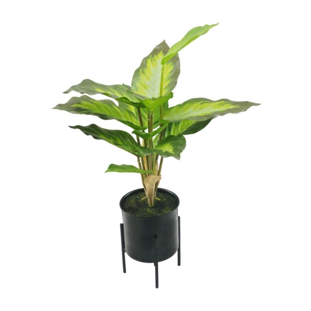 עציץ דקורטיבי - מעמד ברזל