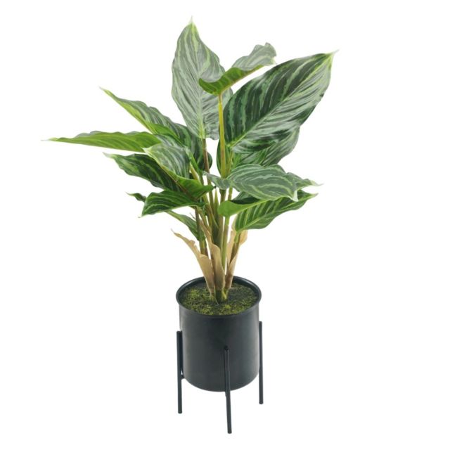 עציץ דקורטיבי - מעמד ברזל