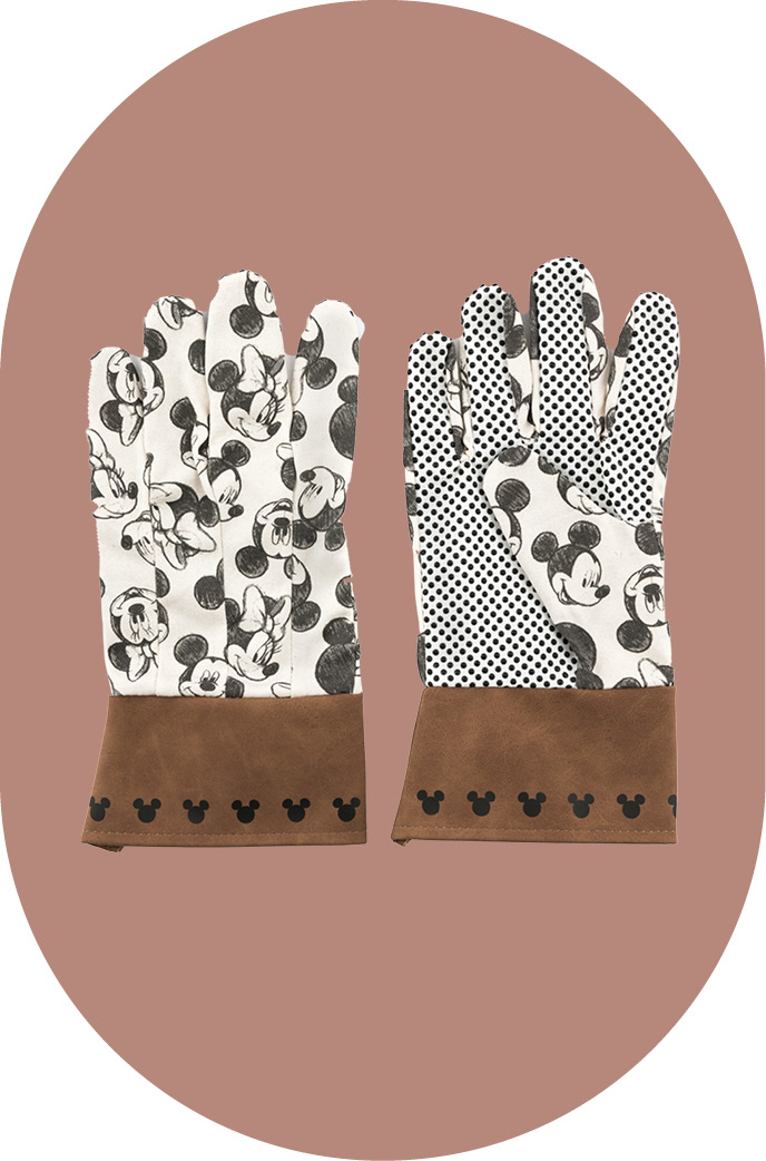 לבית ולגינה